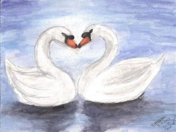 Лебедь для срисовки