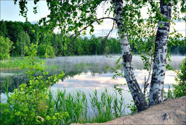 Русь река береза