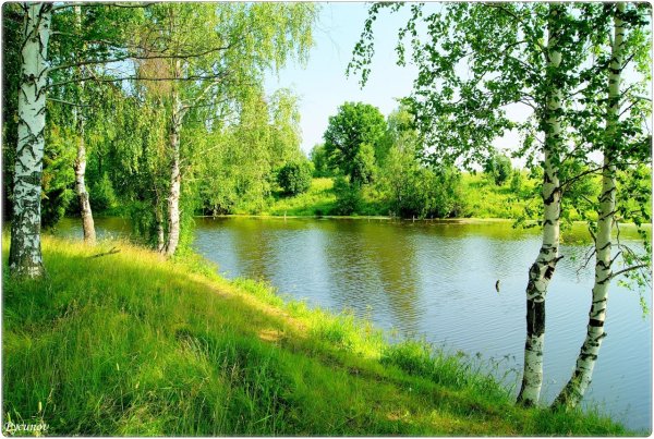 Жигулин о Родина