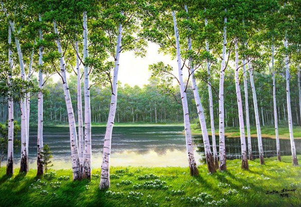 Березовая роща Томск