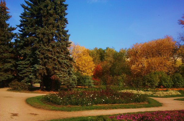 Дендрологический парк Екатеринбург