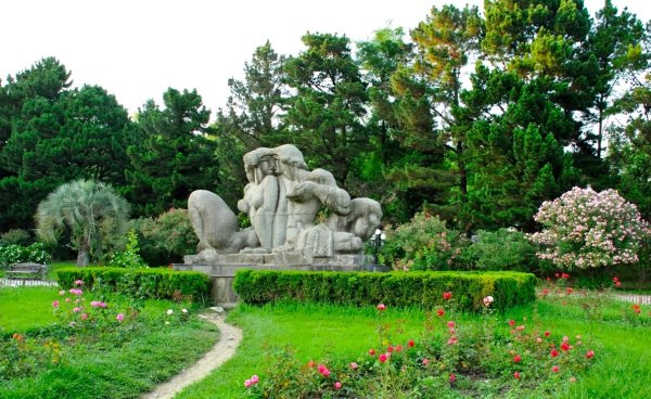 Сочинский дендрологический парк
