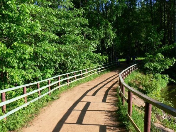 Дендропарк Нововятск