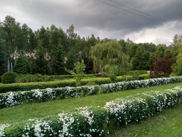 Пензенский Ботанический сад Дендрарий
