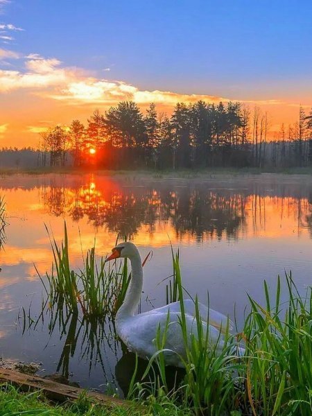 Природа вечер