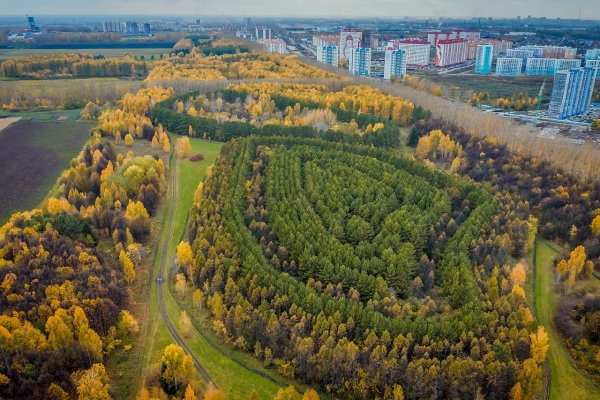 Парк Синягина Краснообск