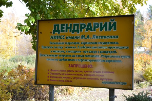 Дендрарий Геленджик