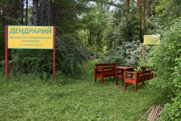 Дендрарий Арзамасского межрайонного лесничества