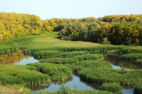 Болото Моховое Белгородская область