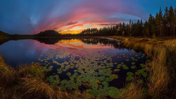 Федор Лашков Ленинградская область