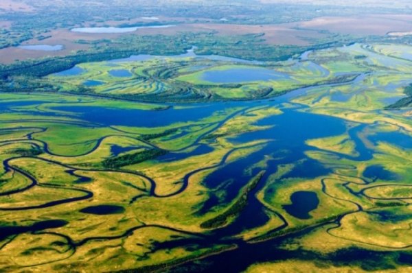 Васюганские болота