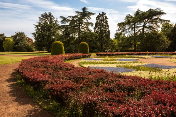 Парк Бельвиль кустарники