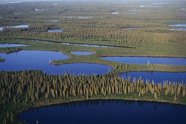 Низменности Западно сибирской равнины