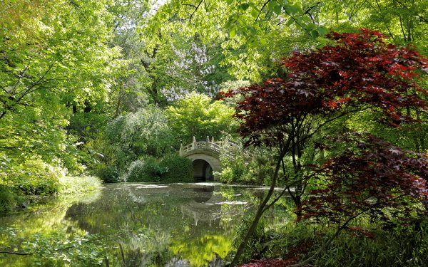 Парк Стоурхед