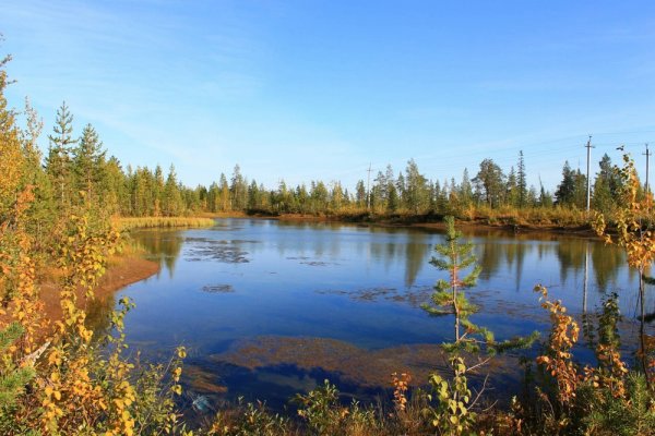 Усинское болото в Республике Коми