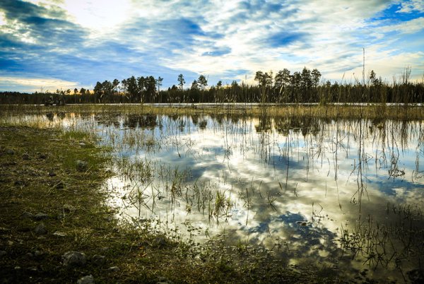 Озера озера ХМАО Югры
