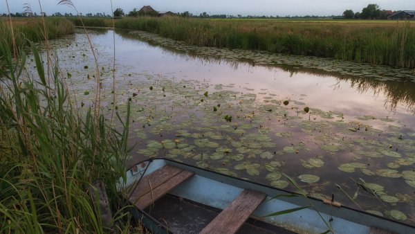 Заболоченная Пойма реки