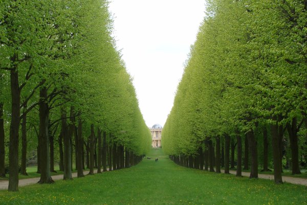 Липовая аллея Потсдам аллея бульвар