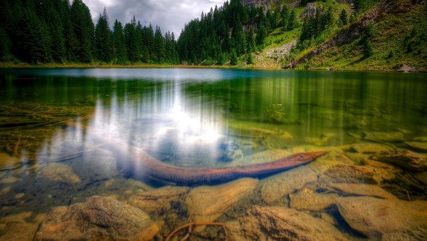 Чистая природа