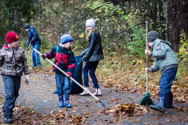 Добрые дела в природе