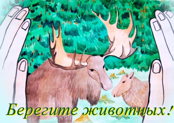 Плакат берегите жевотны