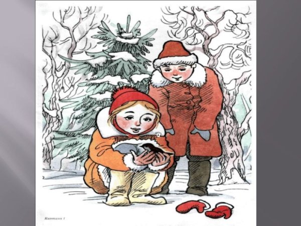 Серия сюжетных картинок зимой