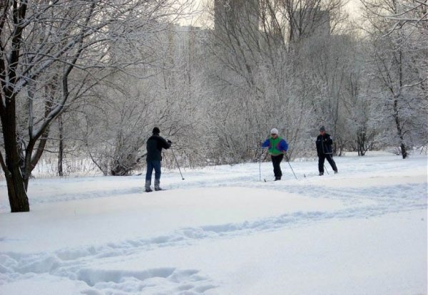 Прогулка по зимнему парку