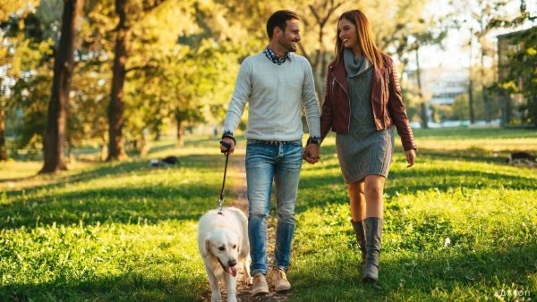 Гулять в парке