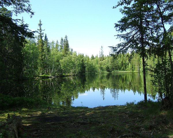 Лесное озеро Автозаводский район
