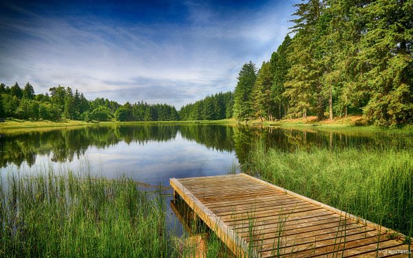 Панорама озеро лес