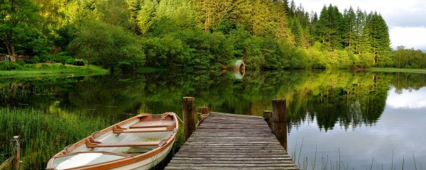 Природа России