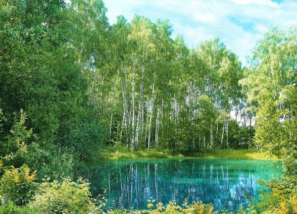 Лесное озеро Нижний Новгород Автозаводский район