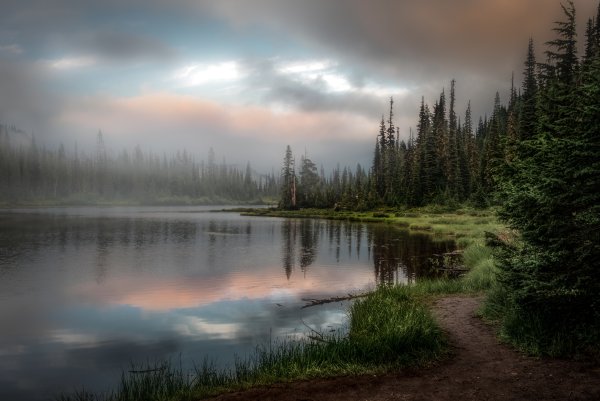 Туманный Лесное озеро