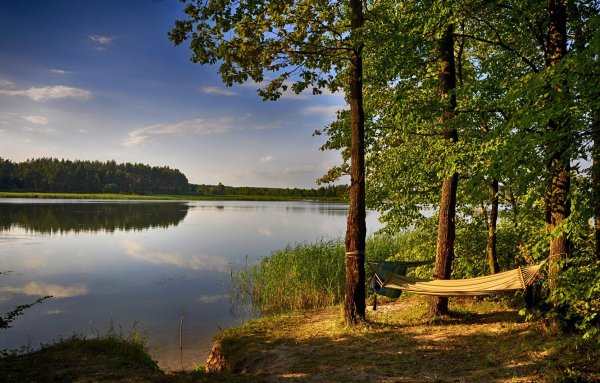 Природа лето река лес озеро