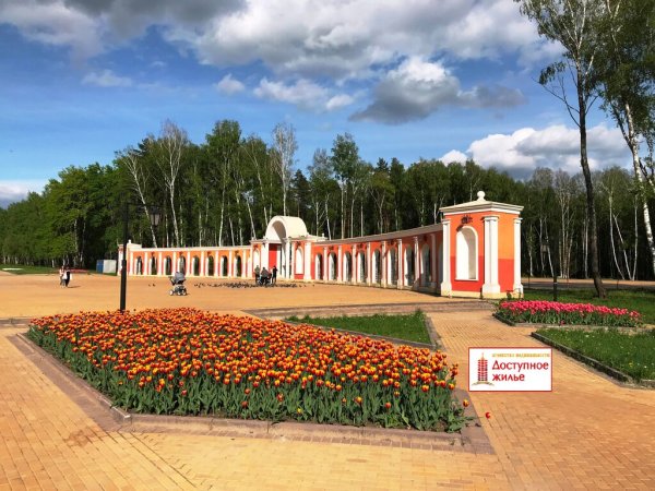 Губернский парк Калуга вид сверху