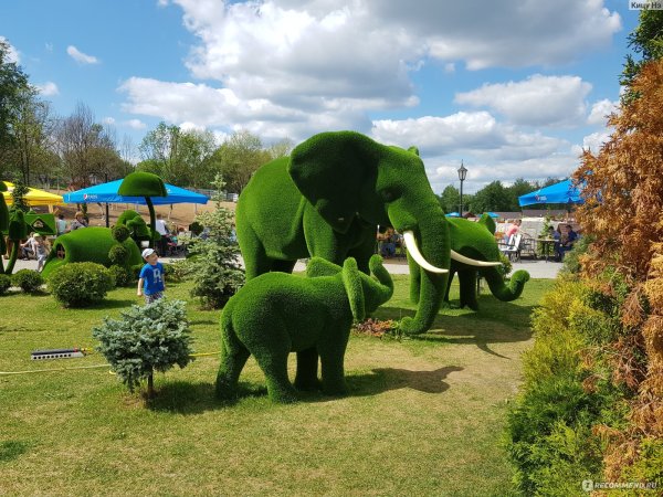 Биосфера Калуга зоопарк