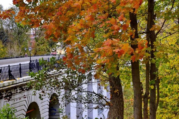 Каменный мост Калуга осень