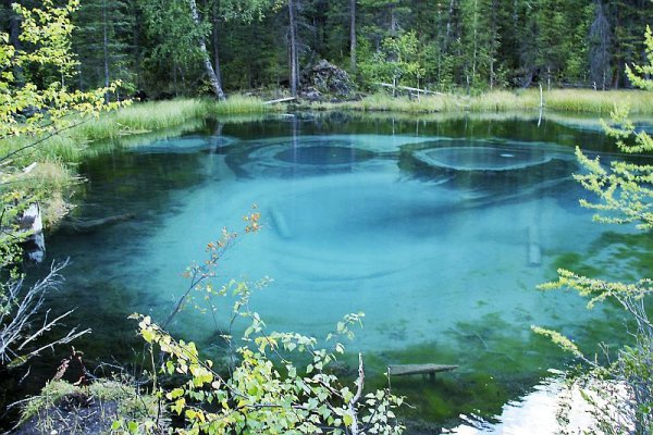 Сураж голубое озеро