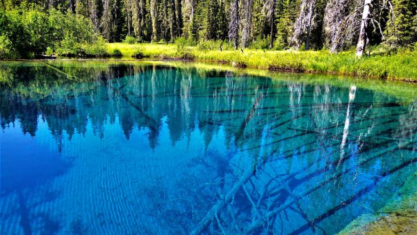 Озеро чистое Тамбовской области