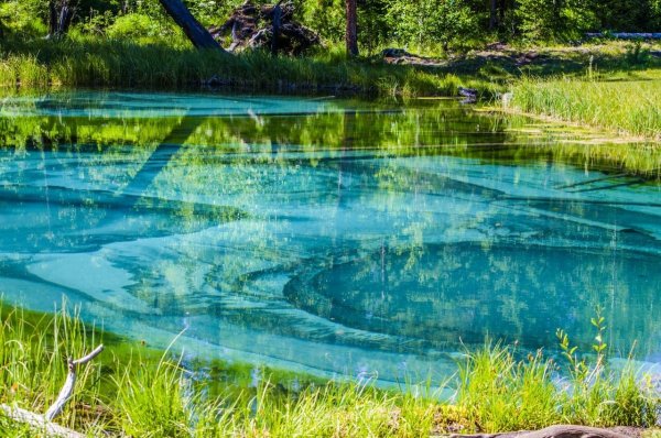 Голубое озеро Алтая (Гейзерное озеро)