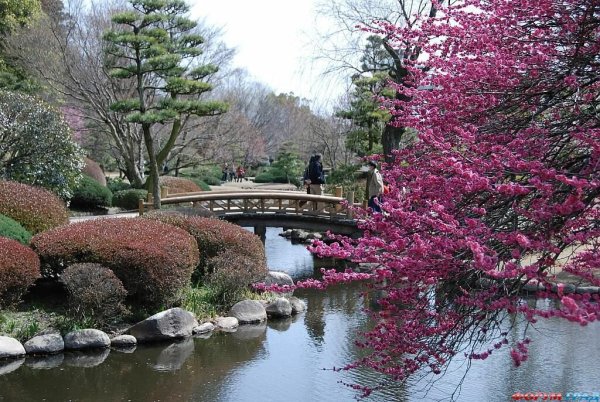 Сад Кайраку-эн (Мито) план