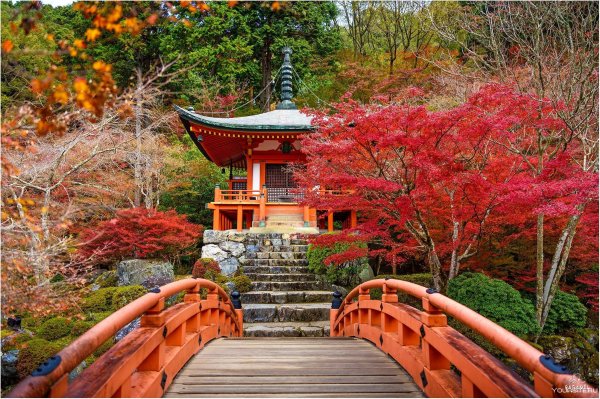 Киото Момидзи