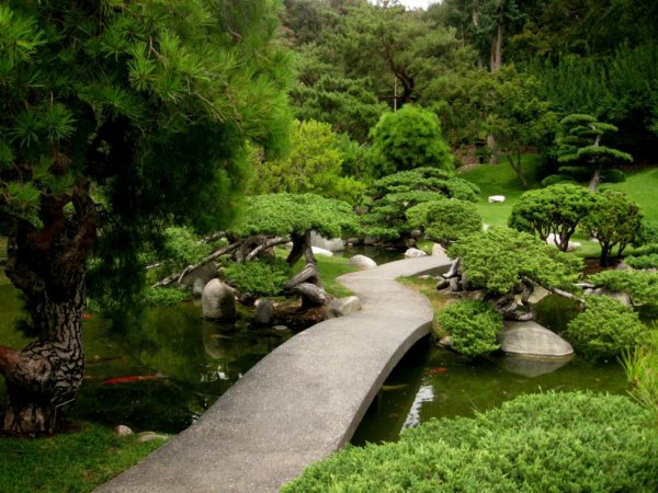 Дендра парк японский сад