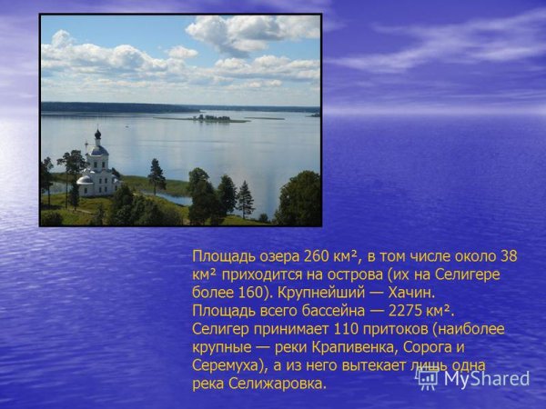 Презентация на тему озеро Селигер