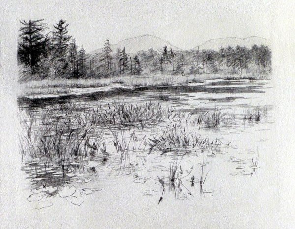 Болото карандашом