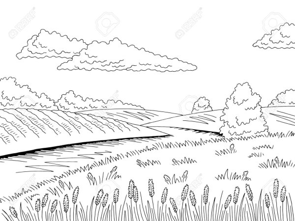 Раскраска поле с речкой