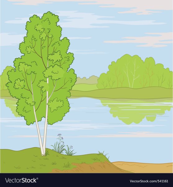 Дерево у реки рисунок