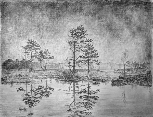 Пейзаж карандашом