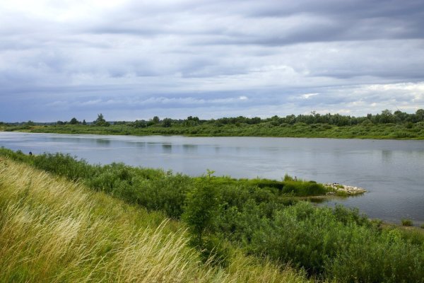 Неман Калининград река