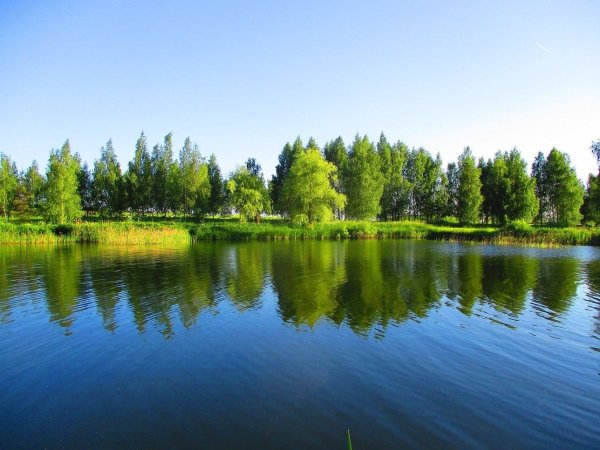 Белоруссия природа